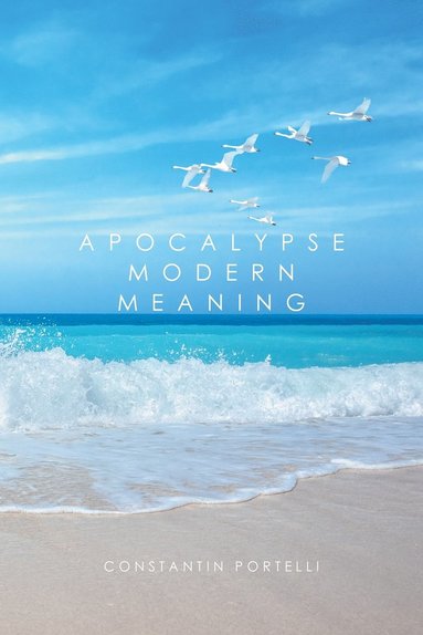 bokomslag Apocalypse Modern Meaning