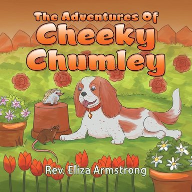 bokomslag The Adventures of Cheeky Chumley