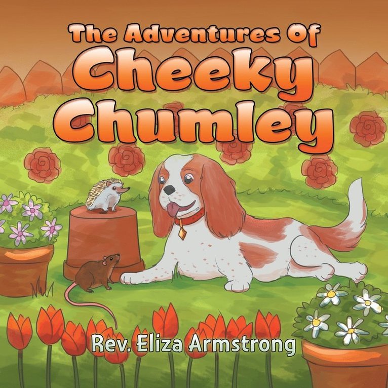 The Adventures of Cheeky Chumley 1