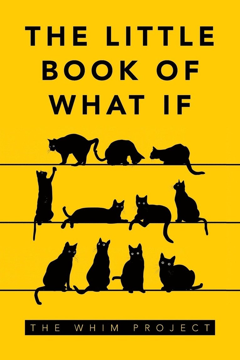 The Little Book of What If 1