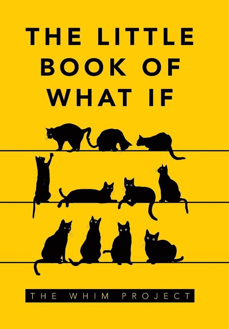 The Little Book of What If 1