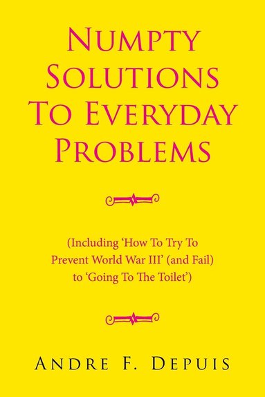 bokomslag Numpty Solutions To Everyday Problems