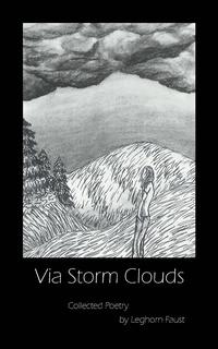 bokomslag Via Storm Clouds