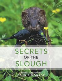 bokomslag Secrets of the Slough
