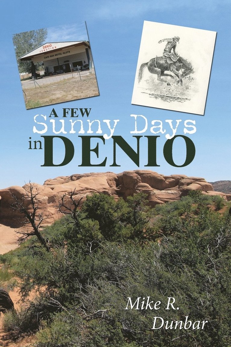 Few Sunny Days in Denio