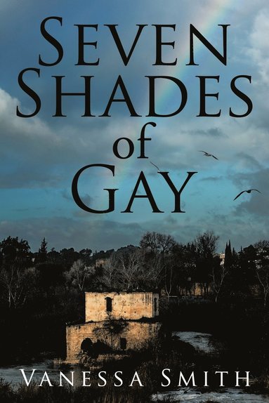bokomslag Seven Shades of Gay