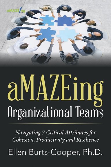 bokomslag aMAZEing Organizational Teams