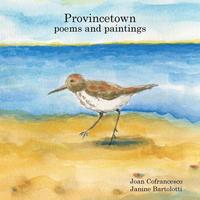 bokomslag Provincetown poems and paintings