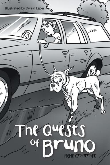 bokomslag Quests of Bruno