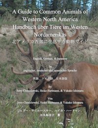 bokomslag A Guide to Common Animals of Western North America