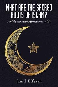 bokomslag What Are the Sacred Roots of Islam?