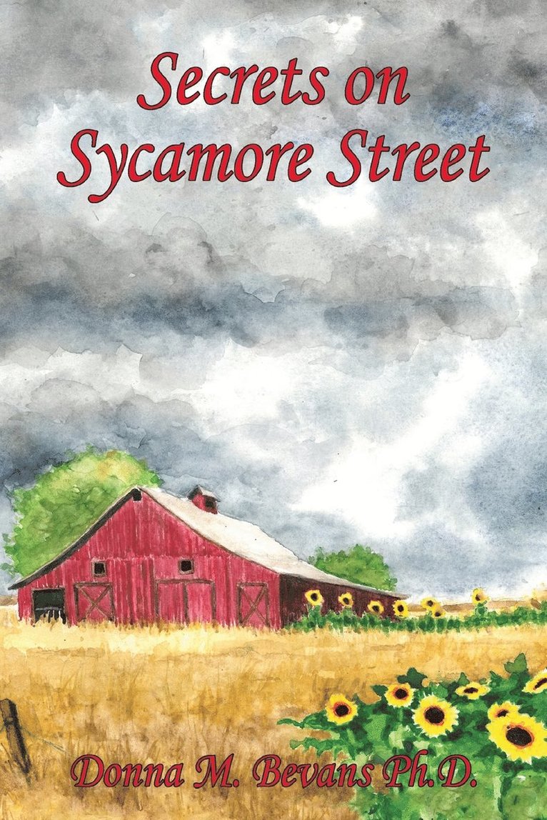 Donna M Bevans, Donna M. Bevans, Donna M. Bevans, Ph.D. - Secrets on Sycamore Street, Häftad