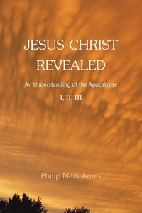 bokomslag Jesus Christ Revealed