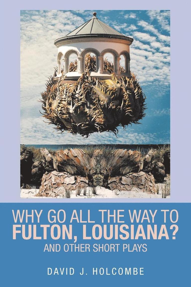 David Holcombe - Why Go All the Way to Fulton, Louisiana?, Häftad