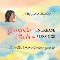 bokomslag Gratitude Increase
