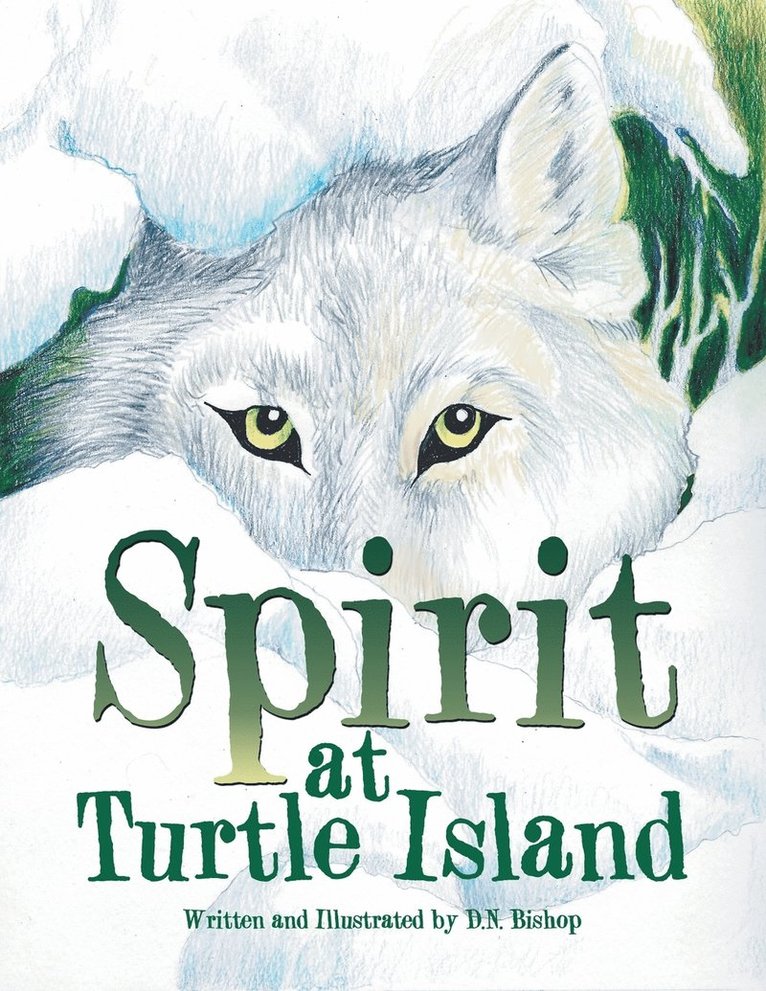 Spirit at Turtle Island 1