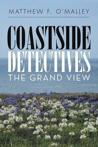 bokomslag Coastside Detectives