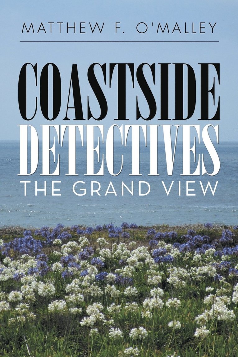 Coastside Detectives 1