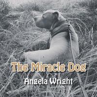 bokomslag The Miracle Dog