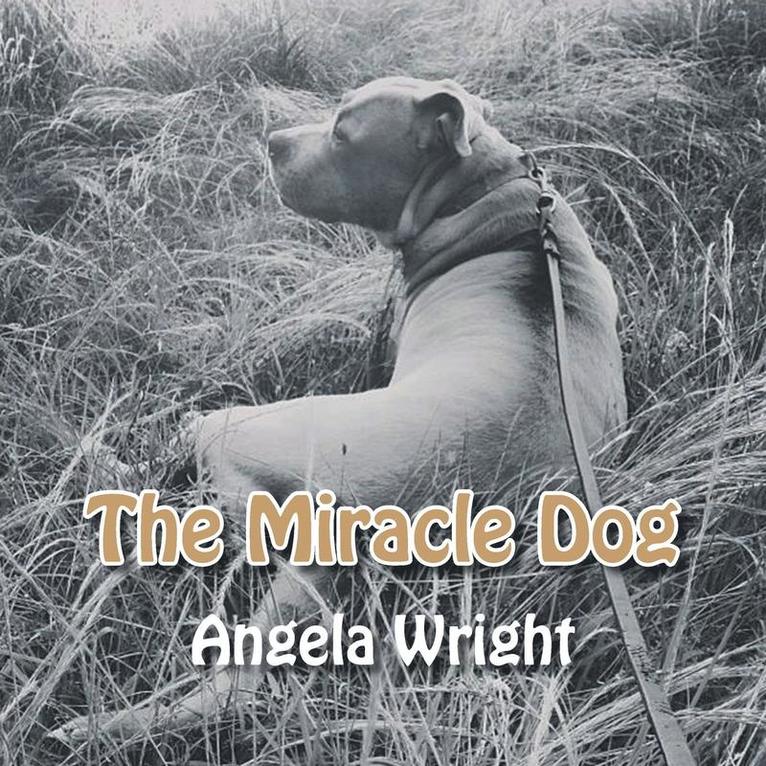 The Miracle Dog 1