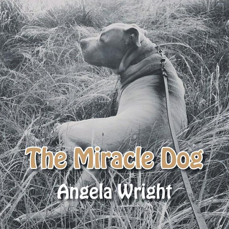 Angela Wright - Miracle Dog, Häftad