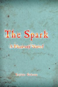 bokomslag Spark