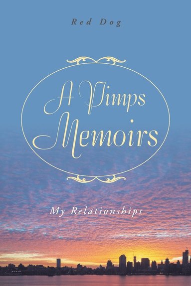 bokomslag Pimps Memoirs