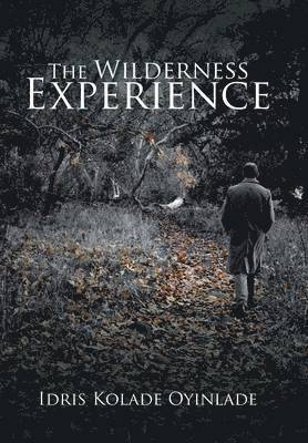 The Wilderness Experience 1