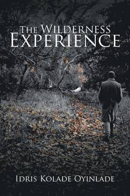 The Wilderness Experience 1