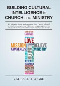 bokomslag Building Cultural Intelligence in Church and Ministry