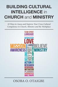 bokomslag Building Cultural Intelligence in Church and Ministry
