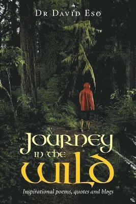 bokomslag Journey in the Wild