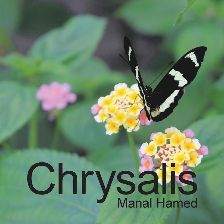 Chrysalis 1