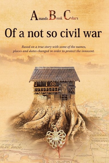 bokomslag Amanda Brook Celar's Of a not so civil war