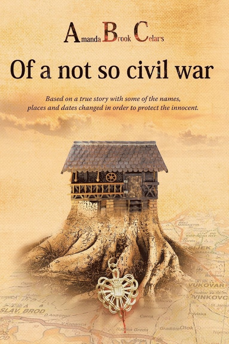 Amanda Brook Celar's Of a not so civil war 1