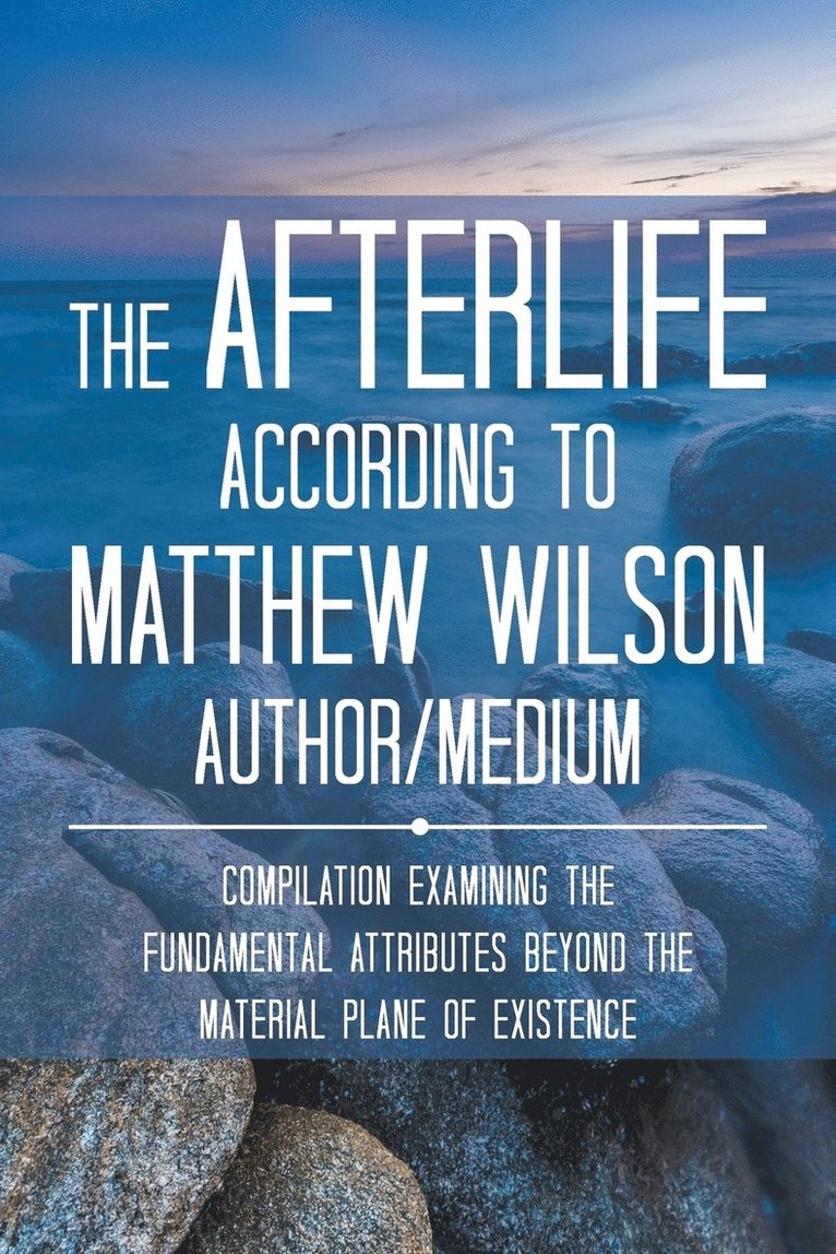 Matthew Wilson - Afterlife According to Matthew Wilson Author/Medium, Häftad
