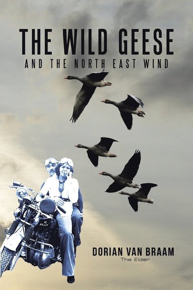 bokomslag Wild Geese and the North East Wind
