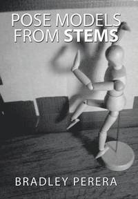 bokomslag Pose Models from Stems