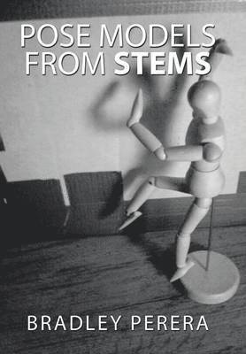 bokomslag Pose Models from Stems
