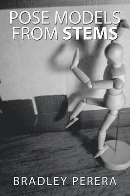 bokomslag Pose Models from Stems