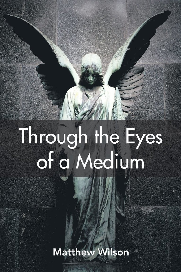 Through the Eyes of a Medium 1