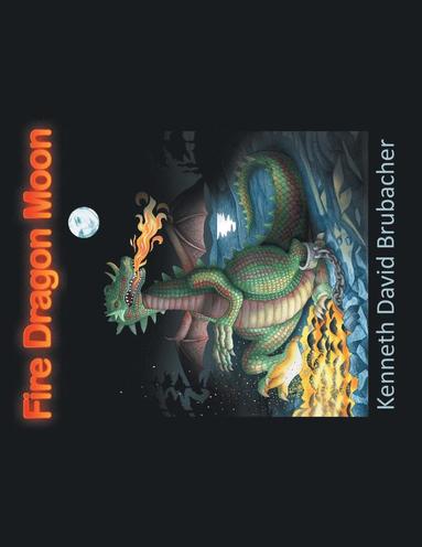 bokomslag Fire Dragon Moon