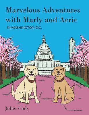 Juliet Cody - Marvelous Adventures with Marly and Aerie in Washington D.C., Häftad