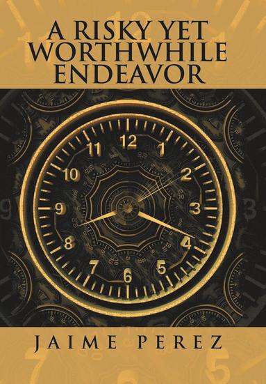 bokomslag Risky Yet Worthwhile Endeavor