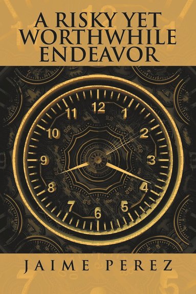 bokomslag Risky Yet Worthwhile Endeavor