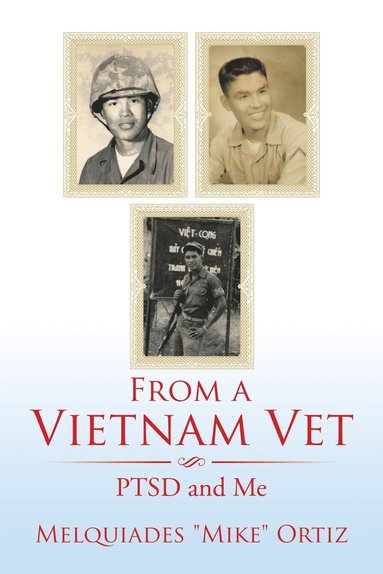 bokomslag From a Vietnam Vet