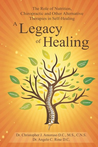 bokomslag Legacy of Healing