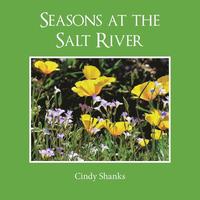 bokomslag Seasons at the Salt River