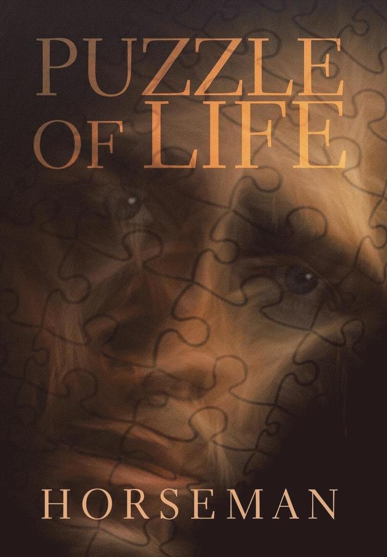 Puzzle of Life 1