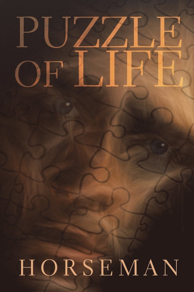 Puzzle of Life 1